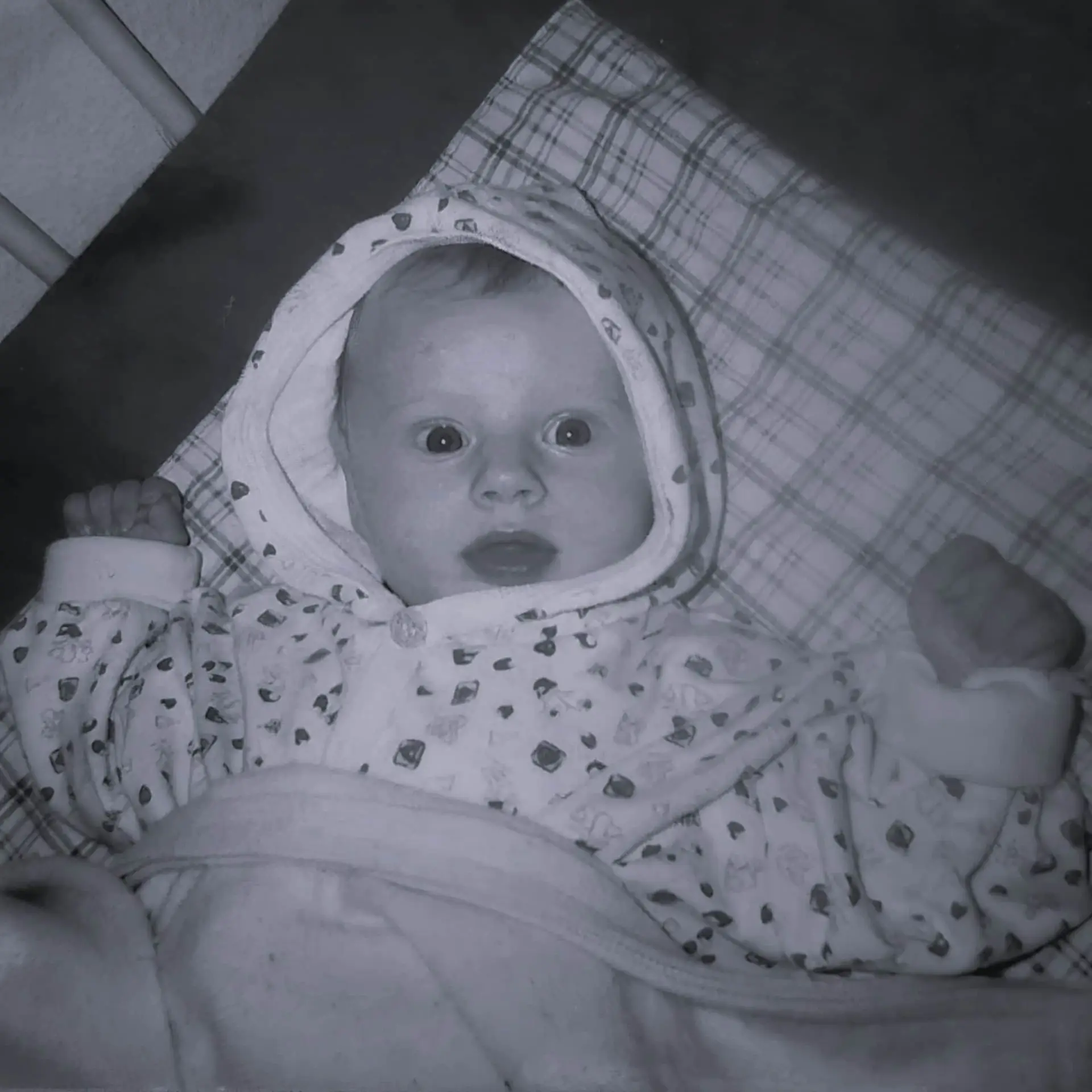 Merel van der Werf